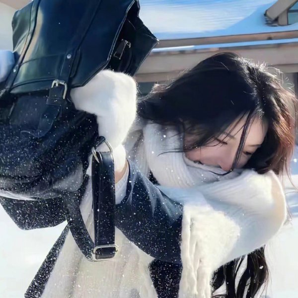 乌龙王与星君仔